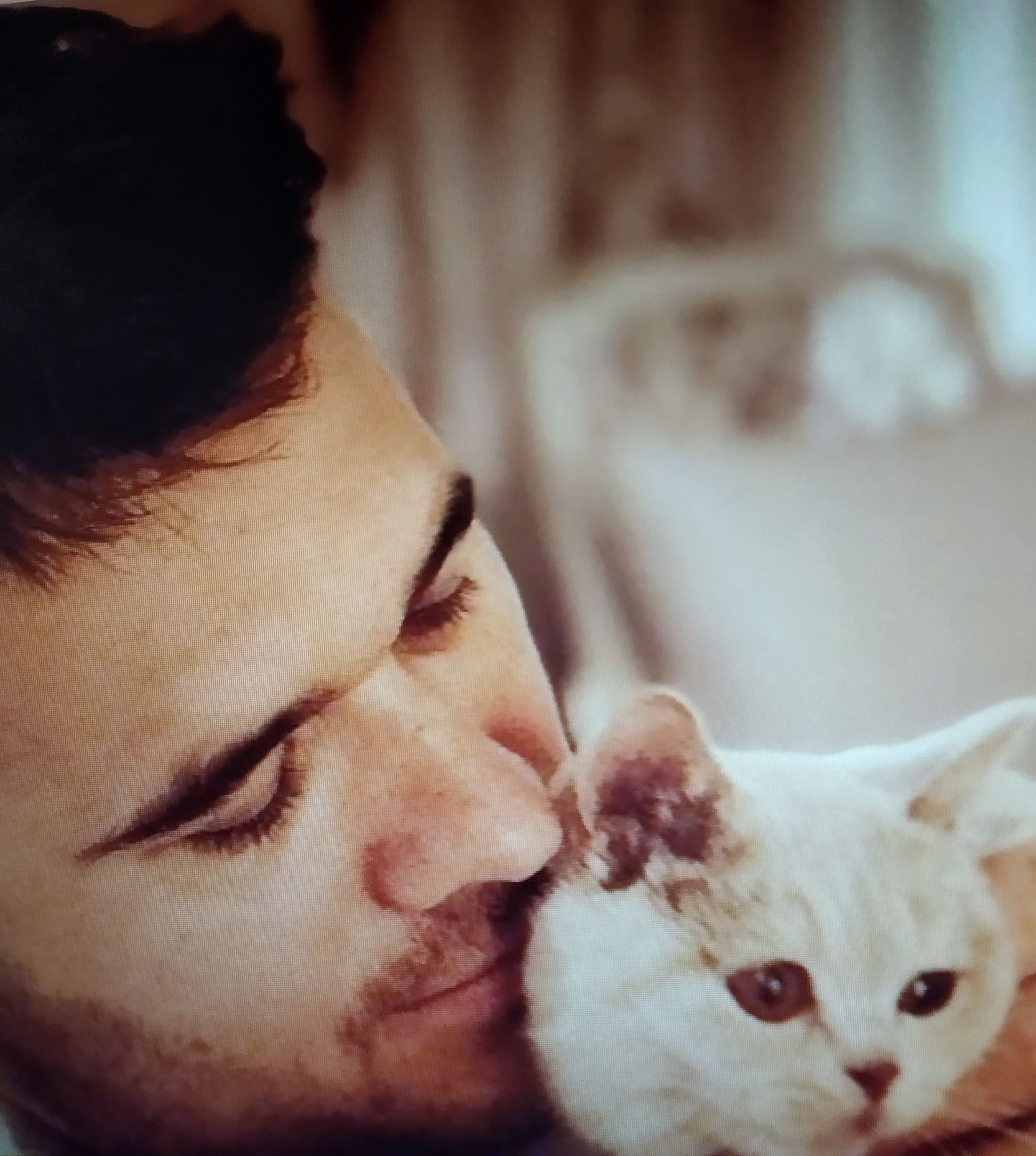 Эмин агаларов и его британская кошка Виски